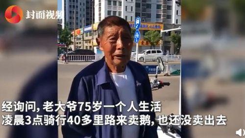 老汪爆料老梁视频全集下载,老梁视频全集下载全攻略